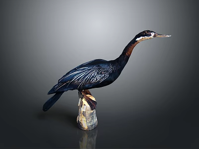 Handcrafted Wooden Cormorant Decorative Figurine With Detailed Feathers On Stone Base 3d model