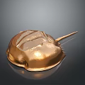Detailed Golden Marine Horseshoe Crab With Shiny Carapace And Pointed Telson