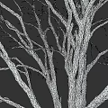 Leafless Arbor Tree With Thick Trunk And Spreading Branches On Gray Background
