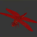 Detailed Dragonfly With Transparent Wings And Yellow Black Body In Flight