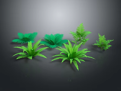 Green Fern Plant Decor Elements With Different Leaf Shapes And Sizes 3d model