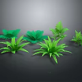 Green Fern Plant Decor Elements With Different Leaf Shapes And Sizes