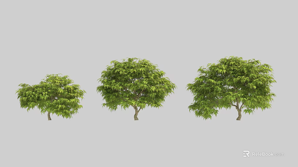 Green Leafy Arbor Trees in Three Different Sizes with Lush Canopies 3d model 