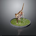 Detailed Cat Anatomy Model Showing Skeleton Internal Organs on Green Grass Base