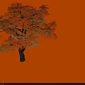 Two Autumn Trees with Vibrant Orange Red Leaves and Natural Shadows 3d model