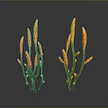 Orange Decorative Plants With Slender Stems And Yellow Spots For Indoor