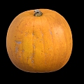 Pumpkin Modern Pumpkin Gourd Pumpkin Low Face Number Low Model Simple Model Game Sub-era Film and Television Level Super Realistic High Precision 3d model