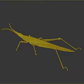 Green Grasshopper With Slender Body Long Antennae And Hind Legs On Dark Background With Reflection