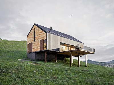 Single-family Villa on Green Hillside with Lush Grass Wooden Metal Exterior Sloped Roof and Terrace 3d model