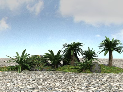 Palm Trees and Low Green Plants on Pebble Ground Under Blue Sky and White Clouds 3d model