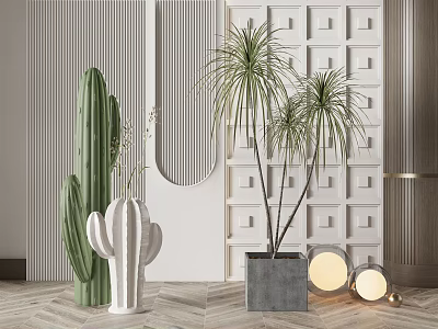 Modern Indoor Potted Plants Decoration With Cactus And Palm Like Plants In Stylish Pots 3d model