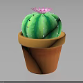 Decorative Green Cactus with Pink Flower and White Spines in Orange Ceramic Pot