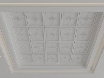 Elegant White Decorative Ceiling Design With Square Carved Panels And Trim 3d model