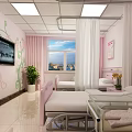Pink Hospital Room With Two Beds Window Curtains TV And Potted Plant