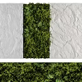 Lush Green Plant Wall With Foliage Between Textured White Indoor Walls Design