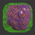 Cartoon Style Tree with Purple Pink Leaves and Twisted Gray Trunk on Green Grass Base