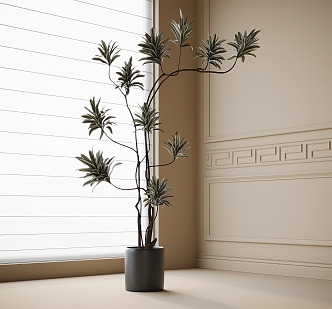 Modern Bonsai Green Plant 3d model