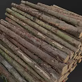 Natural Wood Logs Stacked Pile of Cut Tree Trunks in Rustic Forest