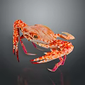 Fresh Orange White Spotted Crab With Red Legs Claws On Gray Reflective Background