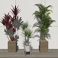 Various Bonsai Potted Plants with Red Green Leaves in Modern Indoor Decorative Pots