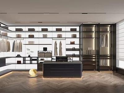 Modern Walk in Closet Interior With Open Shelves Hanging Rods And Wooden Flooring 3d model