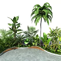 Tropical Green Plant Landscape With Palm Tree Banana Leaves Curved Wooden Path And Small Flowers