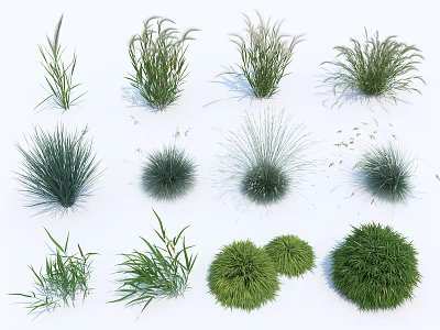 Different Types of Green Herbaceous Plants With Various Shapes on White Background 3d model