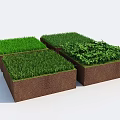 Green Plants Growing In Square Soil Blocks With Fresh Foliage 3d model