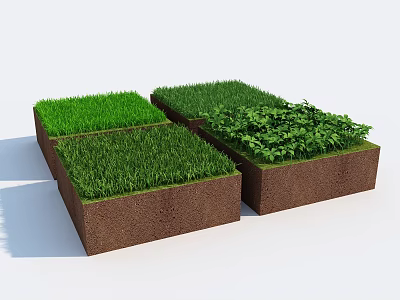 Green Plants Growing In Square Soil Blocks With Fresh Foliage 3d model