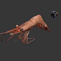 Cooked Whole Shrimp with Long Antennae and Curved Tail on Gray Surface