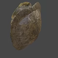 Natural Turtle Shell With Intricate Patterns Detailed Texture And Earthy Tones 3d model