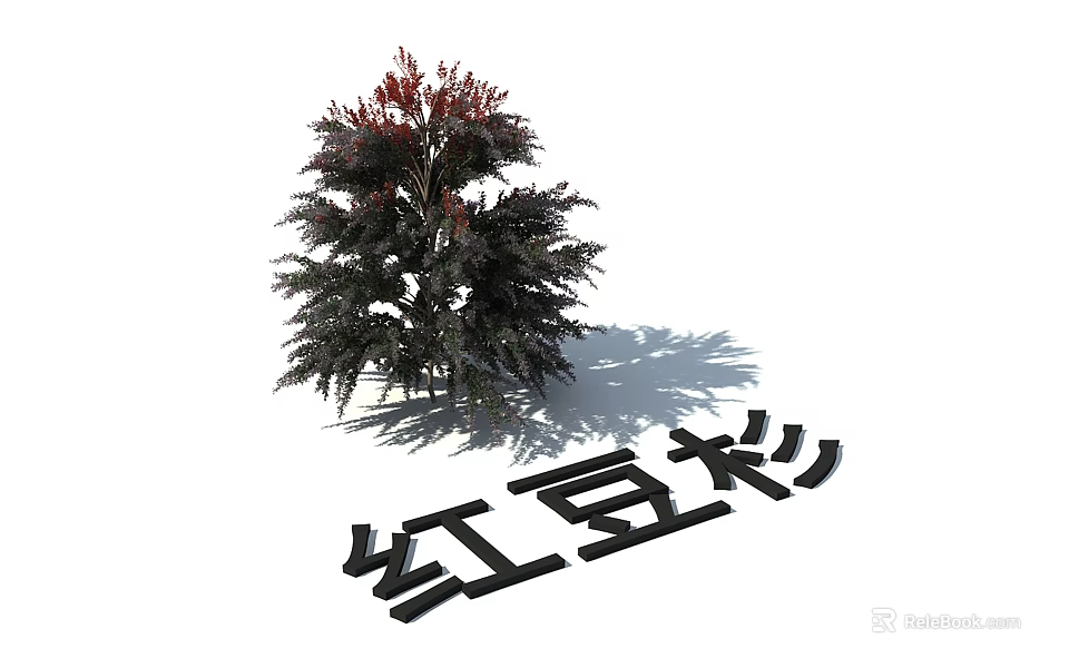 Lush Chinese Yew Plant With Red Leaves And Dense Green Foliage 3d model 