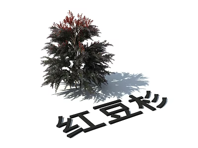 Lush Chinese Yew Plant With Red Leaves And Dense Green Foliage 3d model