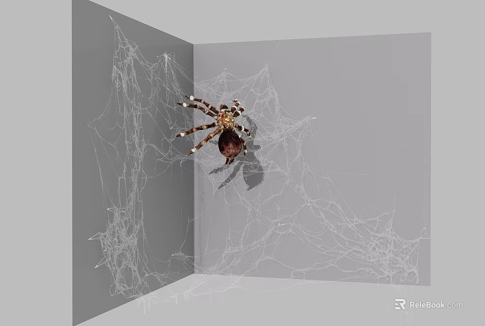 Small Reptile Lizard Resting in Corner with Spider Web and Gray Walls 3d model