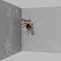 Small Reptile Lizard Resting in Corner with Spider Web and Gray Walls 3d model