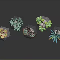 Colorful Succulent Plants In Geometric Stone Pots With Dark Background Reflections