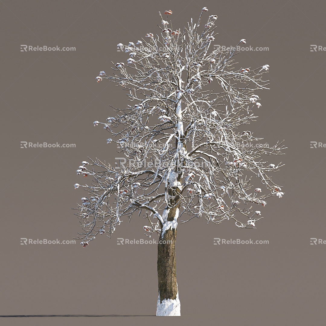 Winter Snow Trees Snow Trees Snow Trees Snow Plants Landscape Trees Snow Trees Snow Trees Winter Trees 3d model