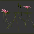 3D Rendered Pink Lotus Flowers With Green Leaves And Stems