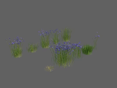 Vibrant Blue Flowers And Lush Green Grass In Natural Garden Plant Arrangement 3d model