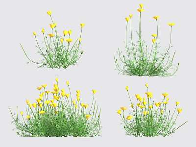 Fresh Yellow Flowering Plants With Green Stems And Lush Leaves 3d model