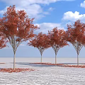Red Leaf Tree Plant Combination With Blue Sky White Clouds White Ground And Fallen Leaves