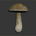 Shiny Metallic Mushroom With Glossy Cap And Stem On Dark Background