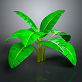 Banana Leaf Plant With Large Green Leaves And Green Stems On Dark Background