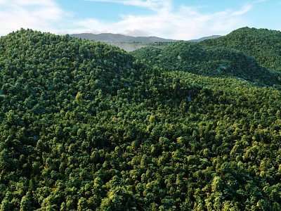 Beautiful Scenery Of Dense Lush Green Forested Hills Under Blue Sky With Floating White Clouds 3d model