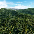 Beautiful Scenery Of Dense Lush Green Forested Hills Under Blue Sky With Floating White Clouds
