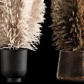 White and Brown Pampas Grass in Black and Copper Vases for Modern Home Decor