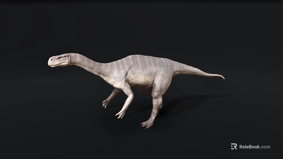 Grey Dinosaur 3D Model With Long Neck And Four Legs On Black Background 3d model 