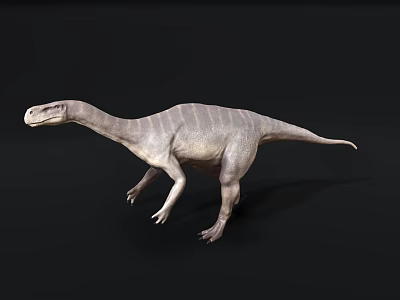 Grey Dinosaur 3D Model With Long Neck And Four Legs On Black Background 3d model