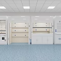 Professional Medical Laboratory Equipment With White Fume Hoods And Storage Cabinets