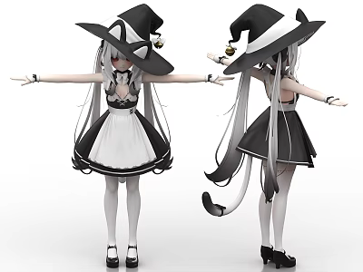 Woman in Black Witch Hat and White Frilled Dress with Long Silver Hair 3d model